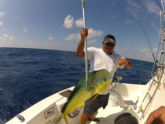 maya fishing
